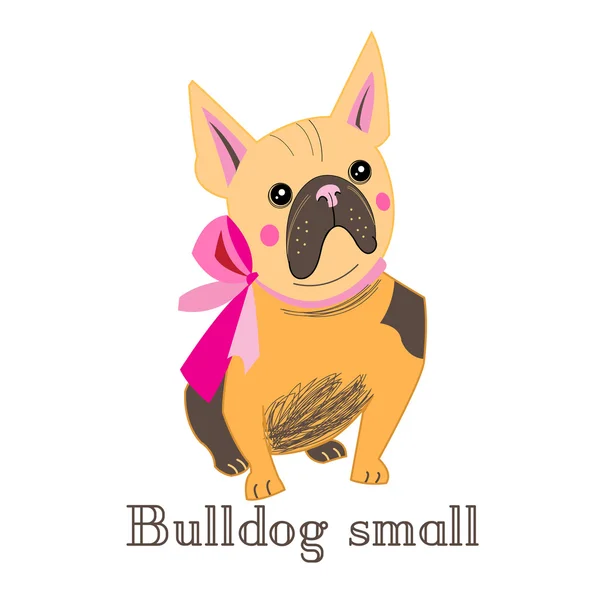 Små bulldog — Stock vektor