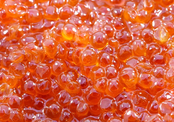 Fundo caviar vermelho — Fotografia de Stock