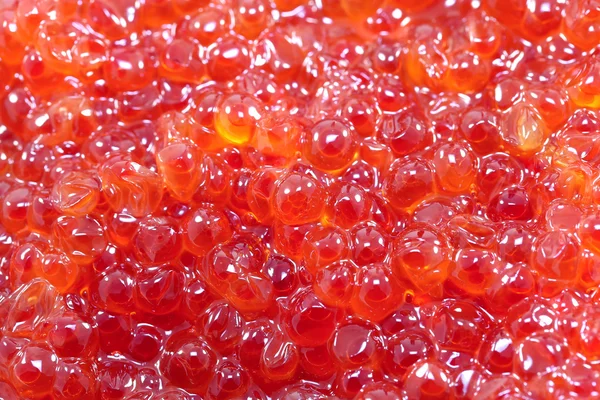 Background red caviar — Stock Photo, Image