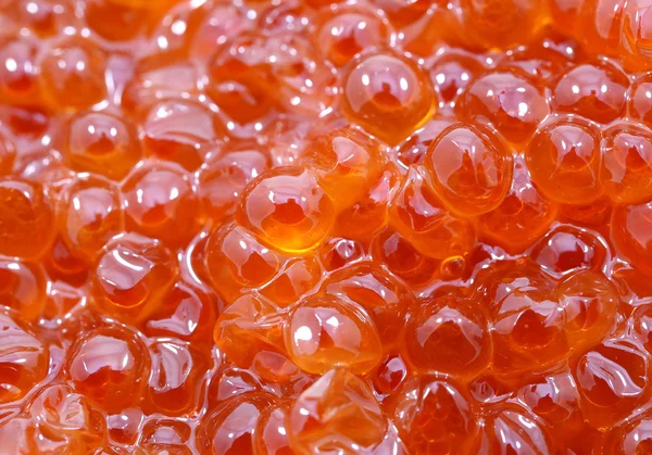 Fundo caviar vermelho — Fotografia de Stock