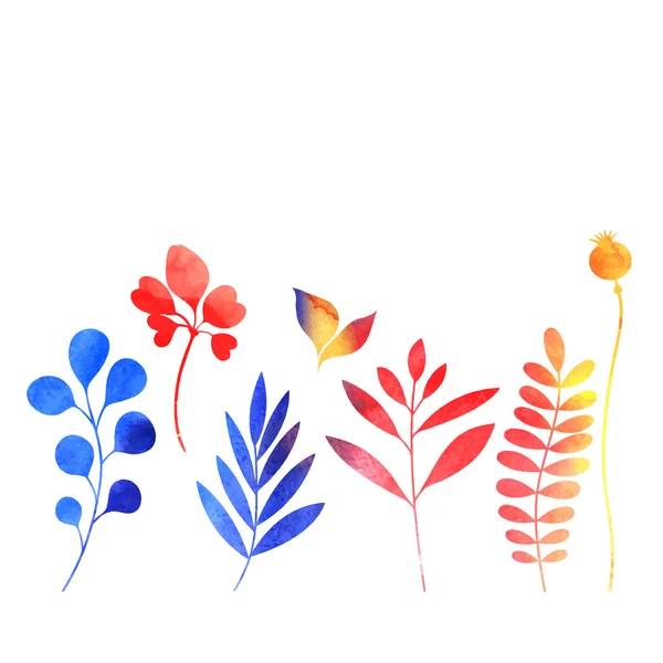 Set van aquarel planten — Stockvector