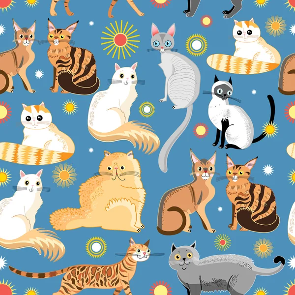 Graphic pattern different breeds of cats — Stock Vector