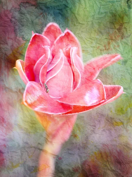 Retro watercolor exotic flower — Stock Photo, Image