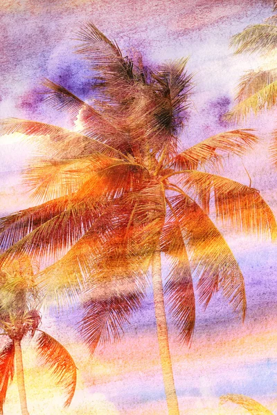Palma aquarela retro — Fotografia de Stock