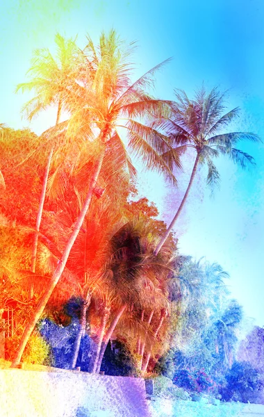 Retro akvarell palm grove — Stockfoto