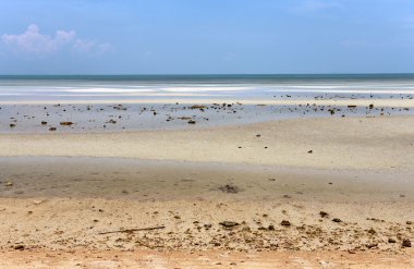 Düşük tide denizde