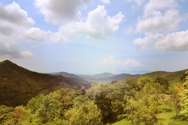 Tropical landscape — Stock Photo, Image