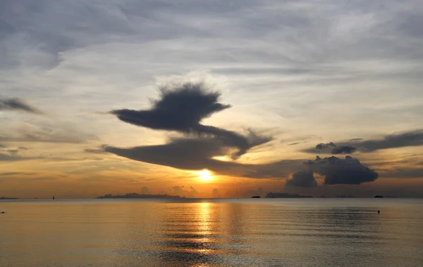 美丽的海上日落 — 图库照片