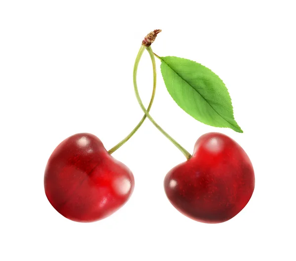 Duas cerejas vermelhas — Fotografia de Stock