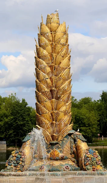 Beautiful fountain spike — Stock Photo, Image