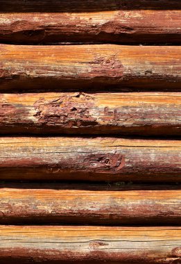 Fotoğraf duvar günlükleri