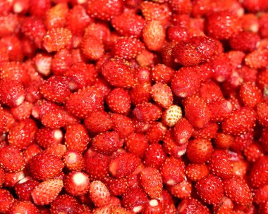 lezzetli vahşi berry çilek 