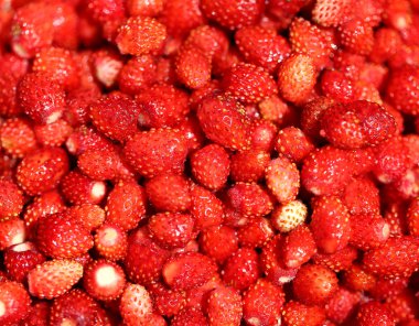 lezzetli vahşi berry çilek 