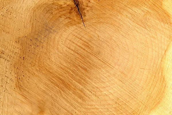 La textura de madera — Foto de Stock