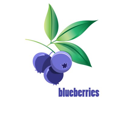 parlak yaban mersini