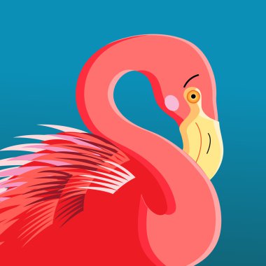 Bir flamingo portresi