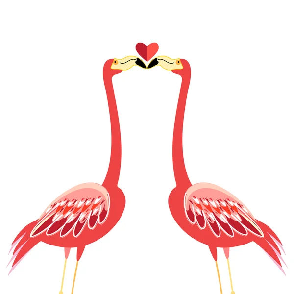 Kiss flamingók — Stock Vector