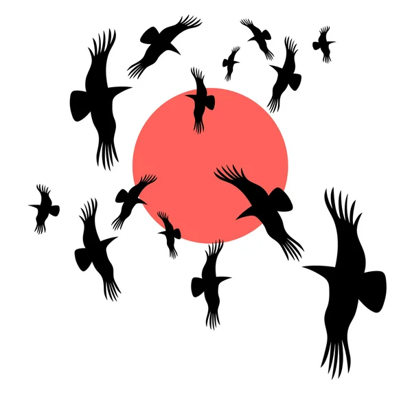 Cuervos negros dando vueltas al sol — Vector de stock