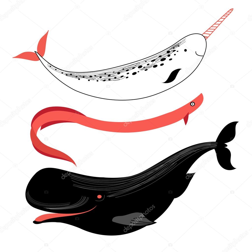 whales and marine fish