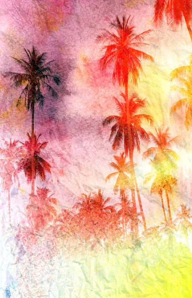 Palmträd vid solnedgången — Stockfoto