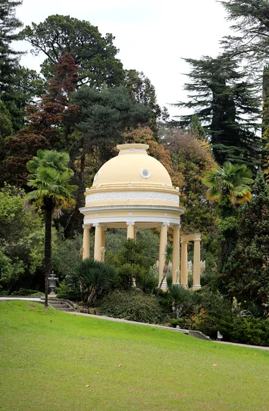 Botanical garden in Sochi — Stock Photo, Image