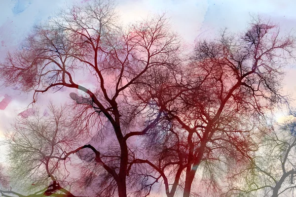 Akvarell bakgrunden träd — Stockfoto