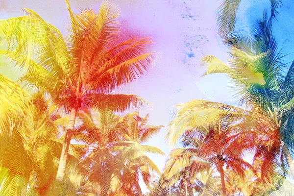 Watercolor retro tropical palms — Stock Photo, Image