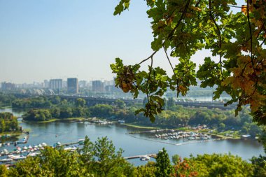 Grishko botanik bahçesinden, Ukrayna 'nın başkenti Kyiv' deki yatların ve teknelerin panoramik manzarası. Sonbaharın başlangıcı, güneşli bir gün..