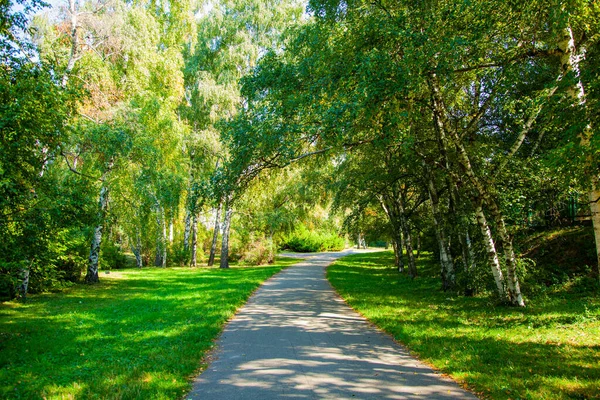 Sonbahar parkındaki yol. Eylül