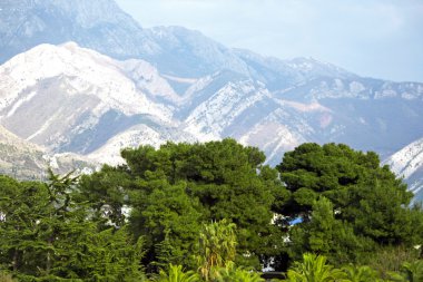 Dağlar Bar, Karadağ