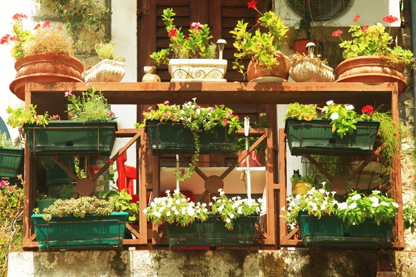 Inredda balkong, medelhavsklimat flora och arkitektur — Stock fotografie