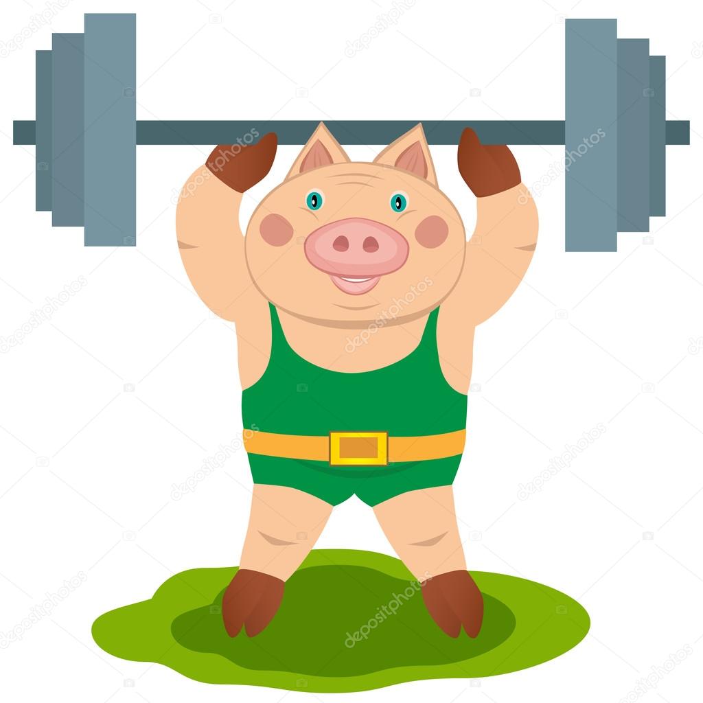 pig weightlifter