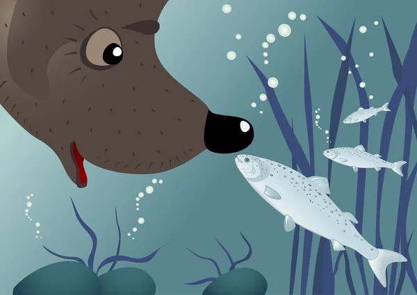 Niedźwiedź i łososia ryb — Wektor stockowy