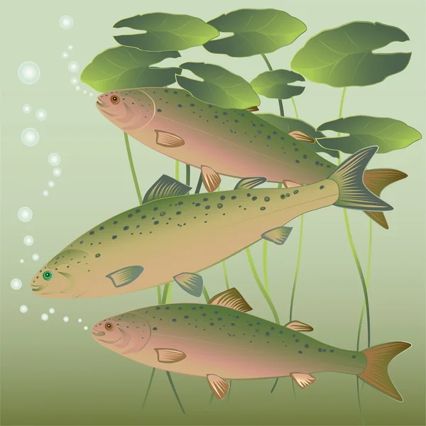 Ryby w rzece — Wektor stockowy