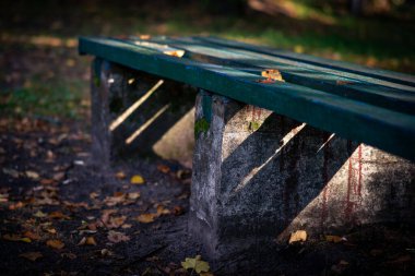 Yağmurdan sonra ahşap bank