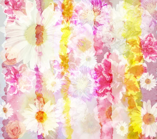 Malownicze tło kwiatowy z kolorowe filtry, — Zdjęcie stockowe
