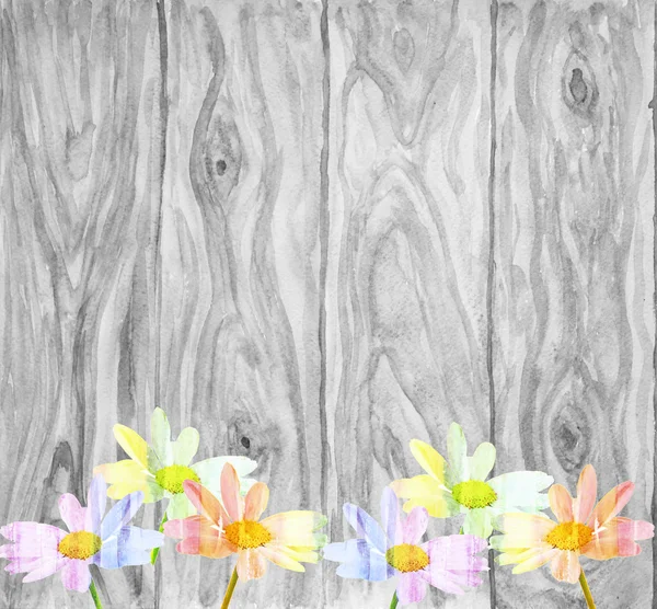 Krásné daisy na rustikální dřevěné pozadí s spac Royalty Free Stock Obrázky