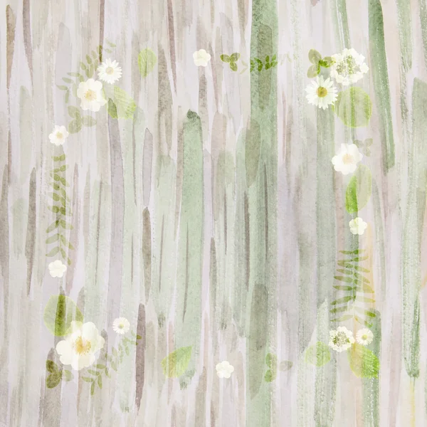 Frame with white daisies, wild roses, leaves and petals on a wat — Stock Photo, Image