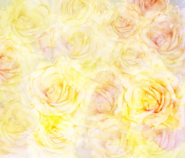 Scenic abstract floral background with roses made with color fil — Stock Photo, Image