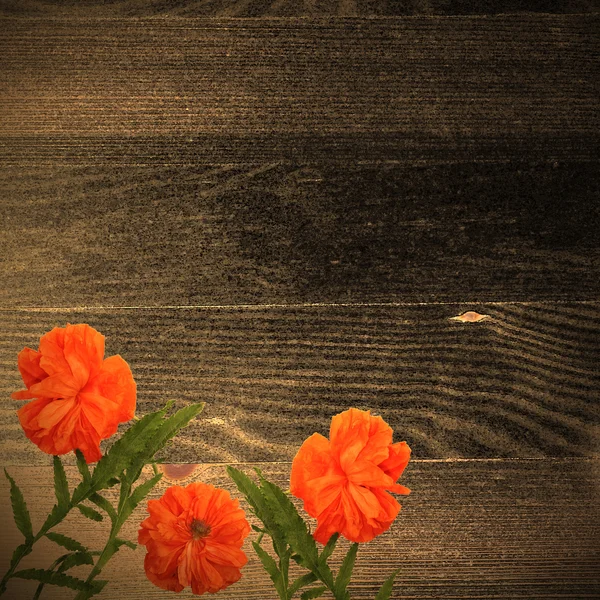 Flores de amapola sobre fondo de madera oscura . —  Fotos de Stock