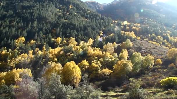 Hermoso paisaje otoñal con árboles dorados y las montañas, disparando contra la luz — Vídeos de Stock