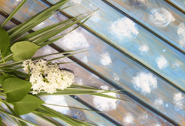 Blanco lila y hierba verde sobre un fondo de madera azul — Foto de Stock