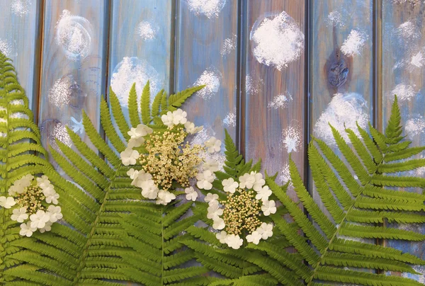 Folhas de samambaia verde esculpida e flores brancas em uma parte traseira de madeira azul — Fotografia de Stock