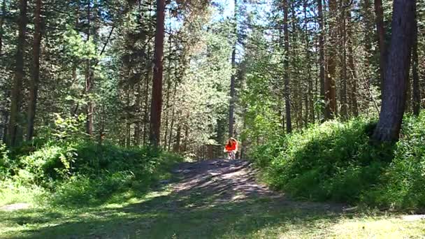 Молодая девушка катается на велосипеде в лесу по грунтовой дороге — стоковое видео