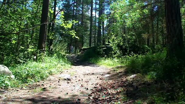 Young women run and ride a bicycle in the park — Stock Video