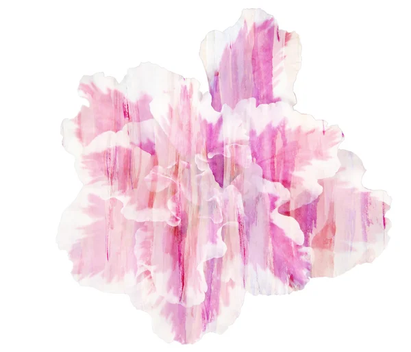 Bela flor rosa única Azalea, pintura aquarela — Fotografia de Stock