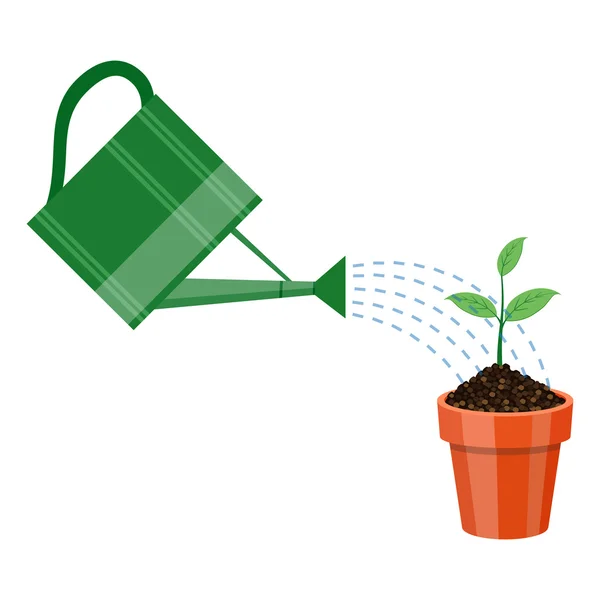 Locsolókanna és a pot a növény. — Stock Vector