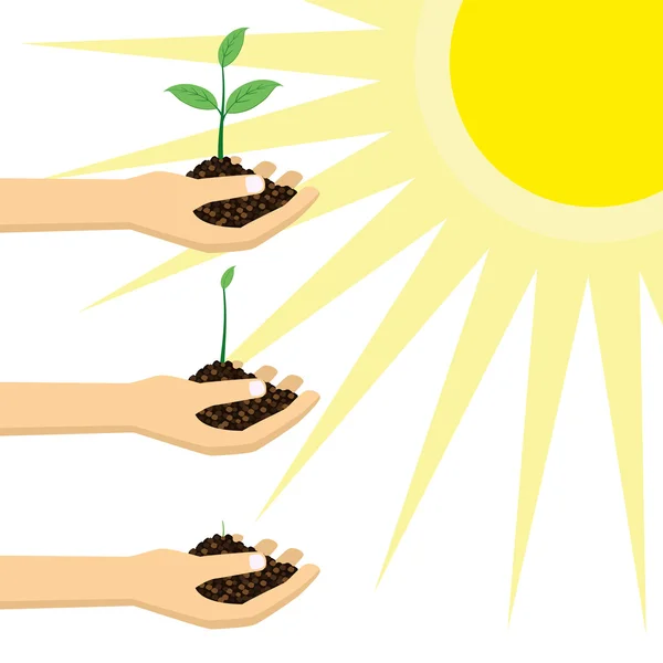 Persona sosteniendo una planta joven bajo el sol . — Vector de stock