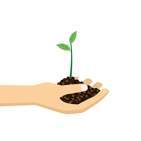 Hand holding young plant. — Stock Vector