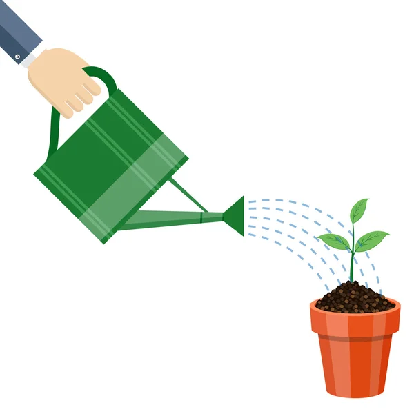 Gieter en plant in de pot. — Stockvector